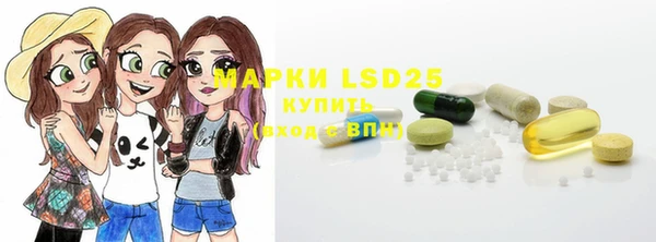ГАЛЛЮЦИНОГЕННЫЕ ГРИБЫ Арсеньев