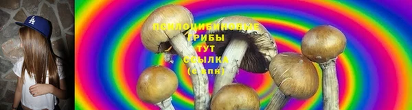 ГАЛЛЮЦИНОГЕННЫЕ ГРИБЫ Арсеньев