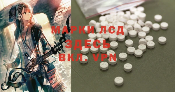 ГАЛЛЮЦИНОГЕННЫЕ ГРИБЫ Арсеньев