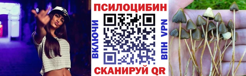Галлюциногенные грибы Psilocybe Коммунар