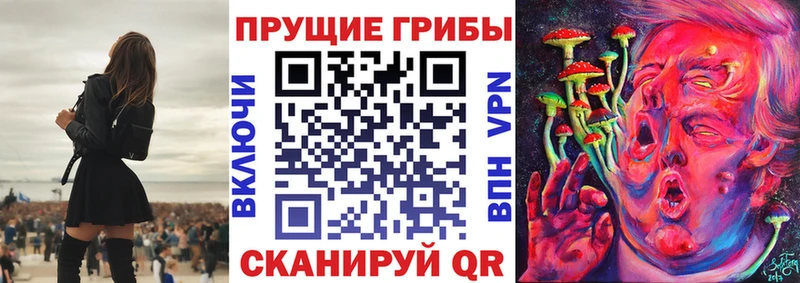 маркетплейс состав  Коммунар  Псилоцибиновые грибы Cubensis  цены  