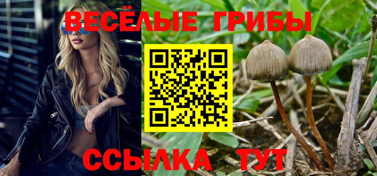Коммунар  Галлюциногенные грибы MAGIC MUSHROOMS  где найти наркотики  Вход с VPN 