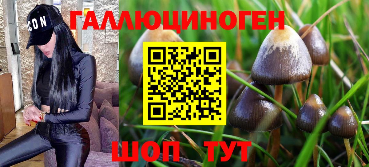 Псилоцибиновые грибы мухоморы  Коммунар 