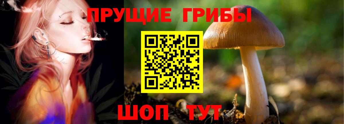 Галлюциногенные грибы Magic Shrooms Коммунар